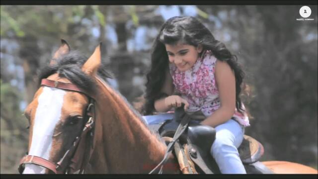 o meri jaan lyric - suhail zargar `@anisfit22`