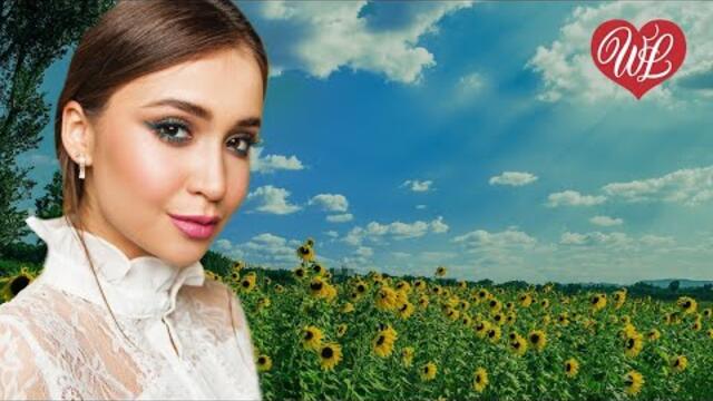 Сергей Завьялов   -   НЕ ГОНИ ТЫ МЕНЯ