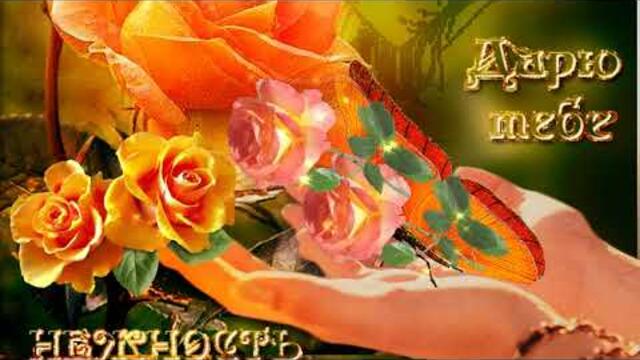 Людмила Сенчина  -  С днем нежности