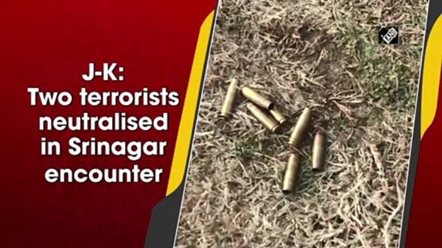 J&K: Two terrorists neutralised in Srinagar encounter