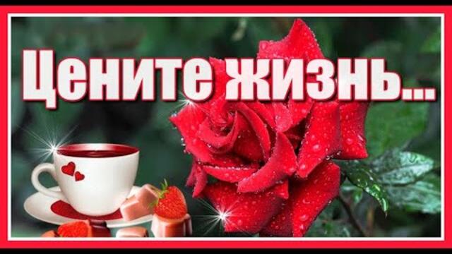 Михаил Бандоровский   -   Цените жизнь... наслаждайтесь каждой минутой-золотые слова!