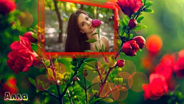 АМИРИНА   -   РОЗА АЛАЯ !