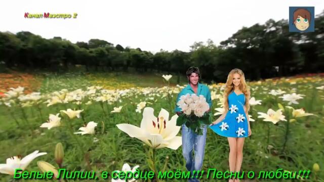 Белые Лилии, в сердце моём!