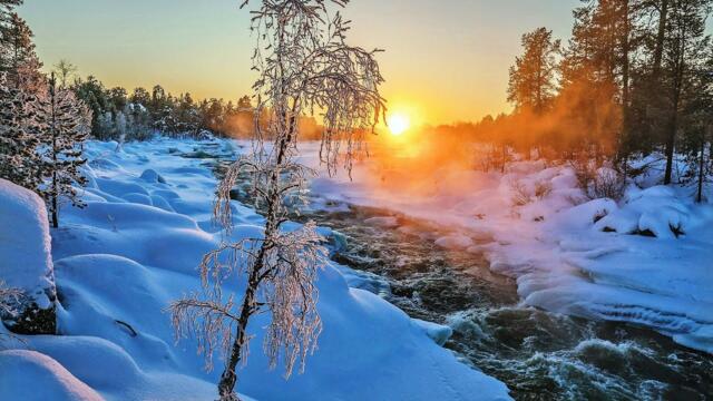 Сергей  Аверьянов   -  Зимнее утро