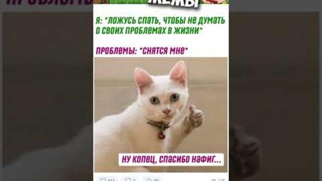 Мемы 2022 #мемы2022 #смешныекоты #мемы #приколы #юмор #мемыскотами #мемыдня #мемасы #про100мемы