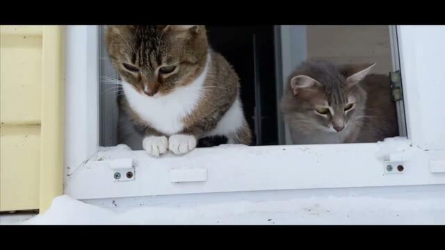 Зимой в деревне...Ой, Дуся, ой, Маруся