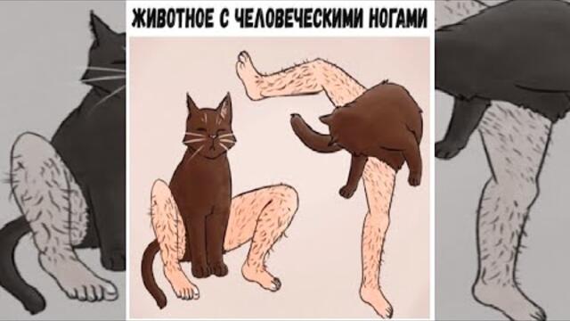 #мемы2022 #смешныекоты #мемы #мемас #юмор #мемыскотами #смешныеживотные #мемасы #мемчики #про100мемы