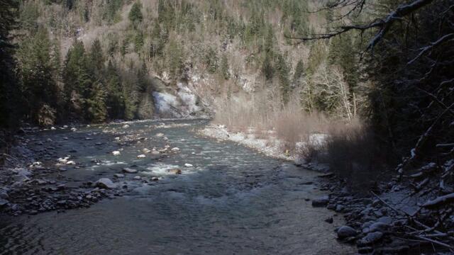 Hunting Bigfoot Trailer