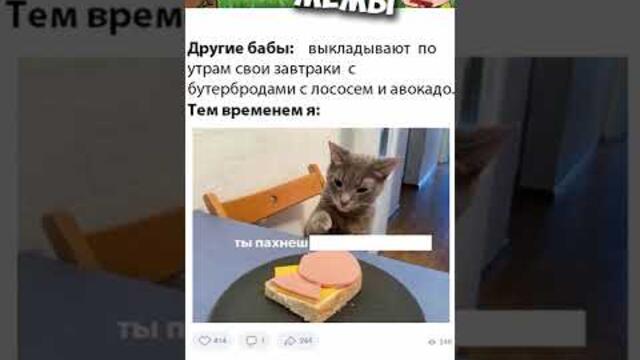 #мемы2022 #смешныекоты #мемы #мемас #юмор #мемыскотами #смешныеживотные #мемасы #мемчики #про100мемы