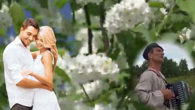 Ансамбль Вечёрка  -  Черемуха и любовь.