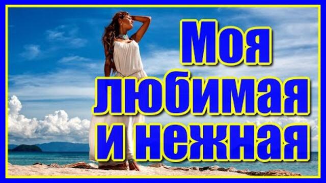 Владимир Алмазов   -   "Моя любимая и нежная..."