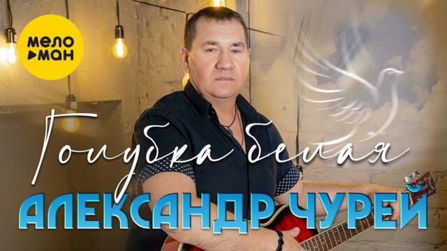 Александр Чурей - Голубка белая