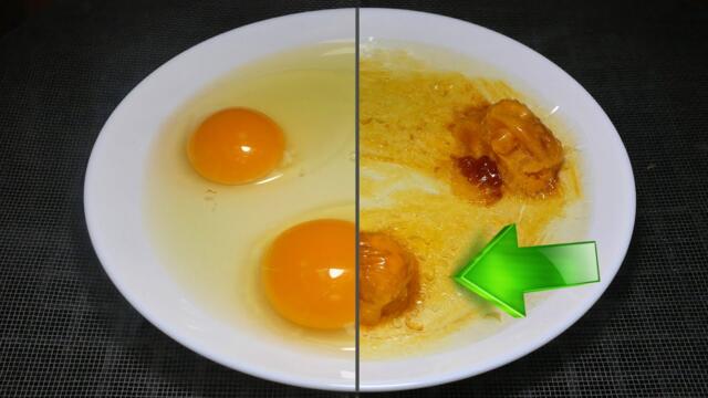 Food Dehydration Time Lapse: Eggs & Banana
