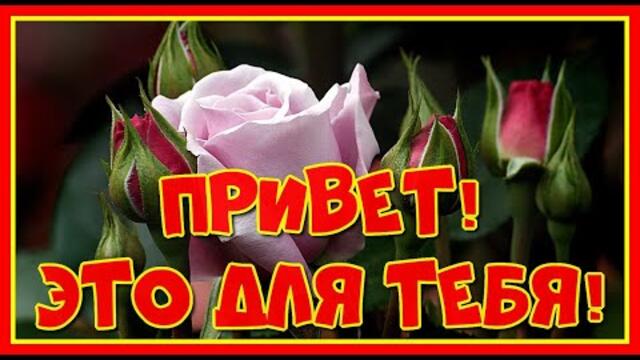 Ян Райбург  -  Привет!Это для тебя!Да, да! Именно для тебя!Счастья! Любви!Улыбайся!Пусть у тебя будет всё отлично!