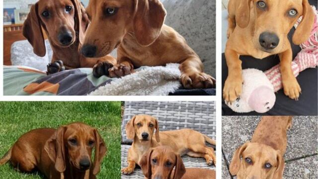 Northamptonshire headlines February 17 2022