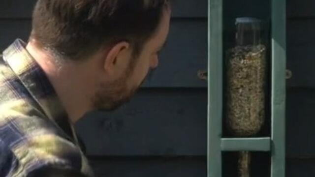 Guy Makes Bird Feeder Using Old Wine Bottle and Pallets