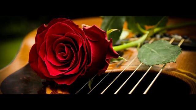 Александр Сумин   -   И проходят порою года