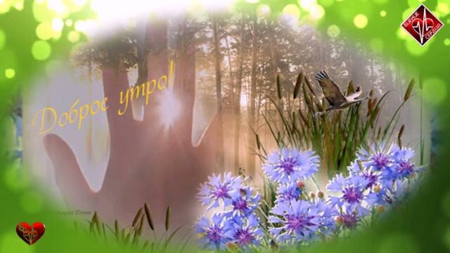 Александр Курган - Завтра лучше