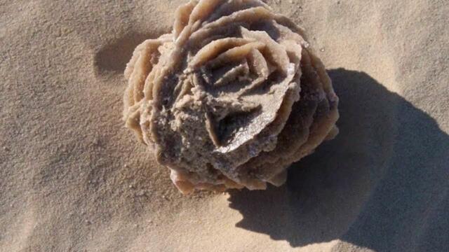 Анатолий Кулагин  -  КАМЕННАЯ РОЗА