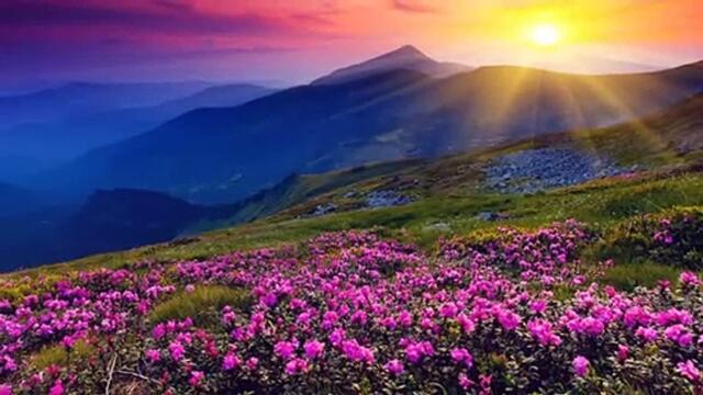 Relaxing Music Rolling Hills