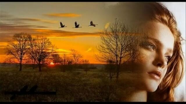 Татьяна Козловская  -  Я ЖИТЬ ПЫТАЛАСЬ БЕЗ ТЕБЯ