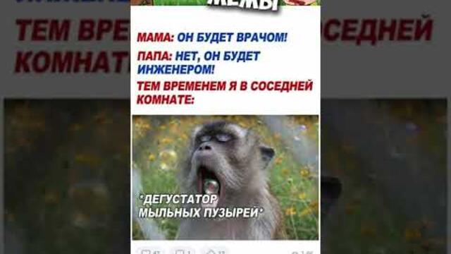 Мемы 2022 #мемы2022 #смешныекоты #мемы #приколы #юмор #мемыскотами #смешныесобаки #жиза #про100мемы