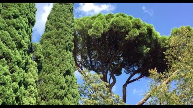 Для Вас Невероятно Красивая МЕЛОДИЯ и Величественная ПРИРОДА Крыма!