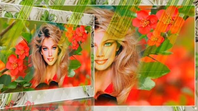 ВИКТОР ДОРИН   -   ВЕТКА ВИШНИ.