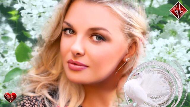 Александр Чурей  -  Голубка белая