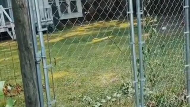 Person Is Horrified On Seeing Fence Replaced By Gate That Gives Neighbor Access To Their Backyard
