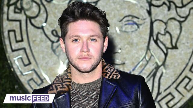 Niall Horan Fell 'Extremely Ill' On Flight & Fan Theories Run Wild!
