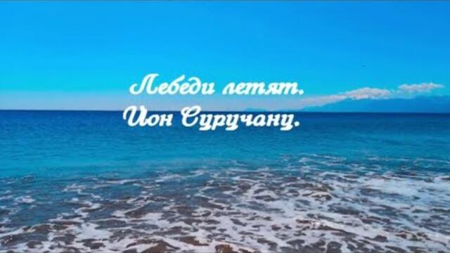 Йон Суручану    -    Лебеди летят