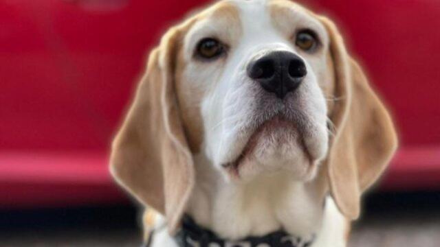 Northamptonshire headlines 280222