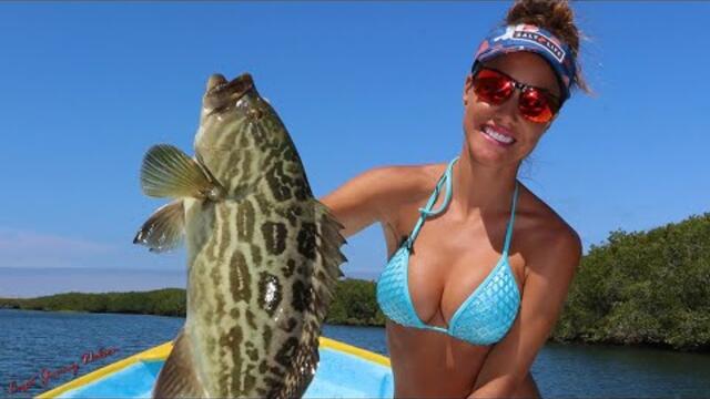 GROUPER in the Mangroves!