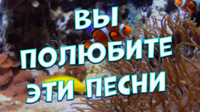 Сергей Одинцов /   Заходи и Слушай! Эти песни согреют Вам души!