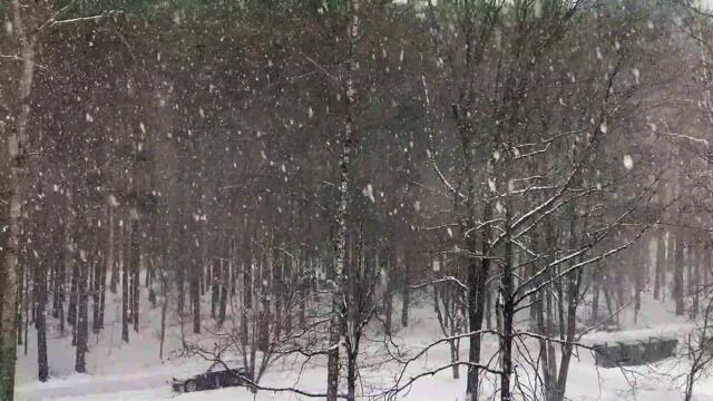 Wind and Snow # Angin dan Salju