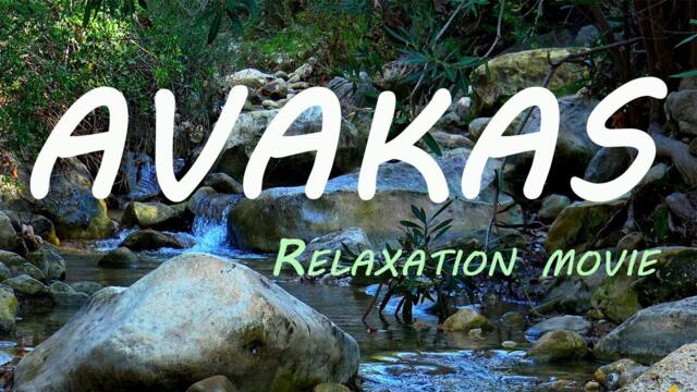 Relaxation film