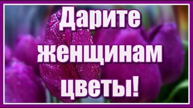 Валерий Юг  -  "Дарите женщинам цветы!"