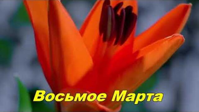 Анатолий Кулагин   -    ВОСЬМОЕ МАРТА