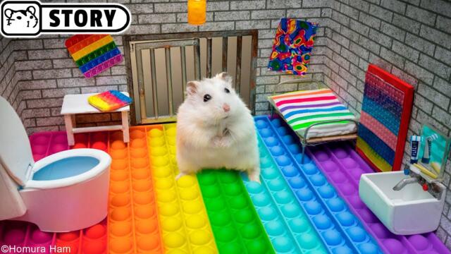 🐹 Hamster Escapes the Pop It Maze for Pets in real life 🐹 Homura Ham