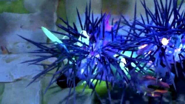 Dota 2 WTF Moments 329