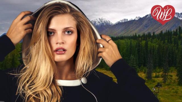 Макс Вертиго, Феликс Верниковский   -   ЛЕСОВОЗАМ