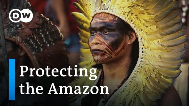 The Amazon in danger - Indigenous peoples and their struggle for the rainforest | DW Documentary