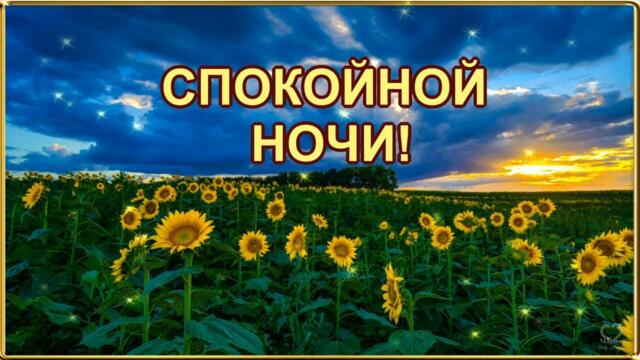 СПОКОЙНОЙ НОЧИ! ПРИЯТНЫХ НЕЖНЫХ СНОВ!