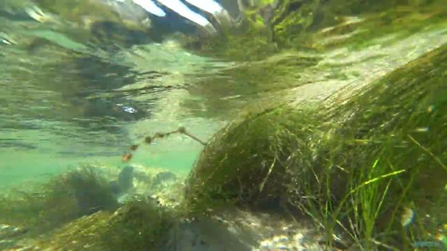 Горный Алтай Улаган река Башкаус.