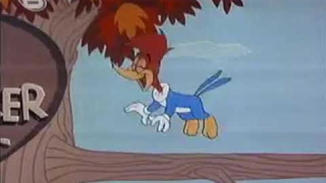 Уди кълвача Бг Аудио