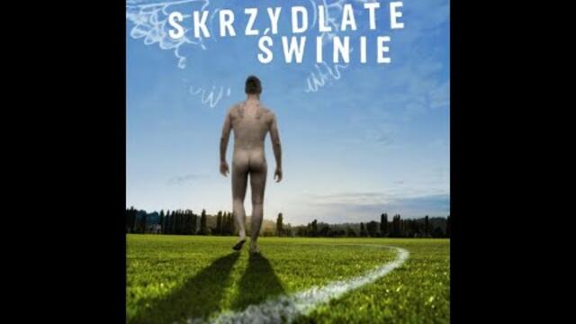 FLYING PIGS | Full Length Comedy Movie | English Subtitles