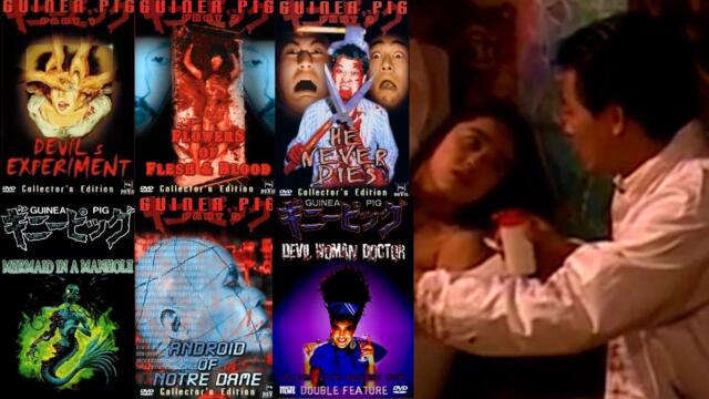 The Blood Soaked Emotional Rollercoaster That Is The ENTIRE Guinea Pig Series - Full Spoiler Review