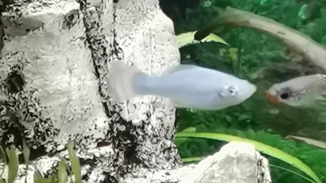 ТЫ ВСЕГДА В ДУШЕ МОЕЙ... ДЛЯ ДУШИ И СЕРДЦА...