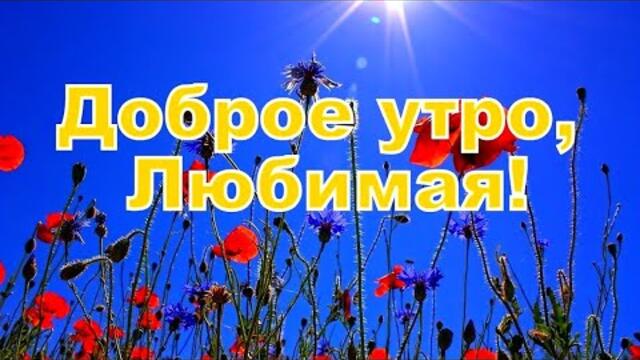Доброе утро, Любимая! Удачного дня!